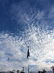 2M Antenna